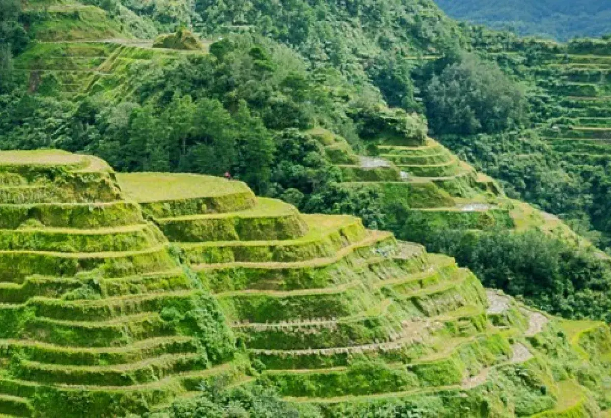 Banaue and Batad Rice Terraces (Ifugao)