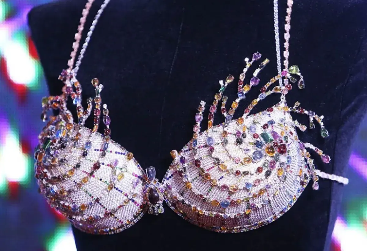 There’s a $2 Million Bra