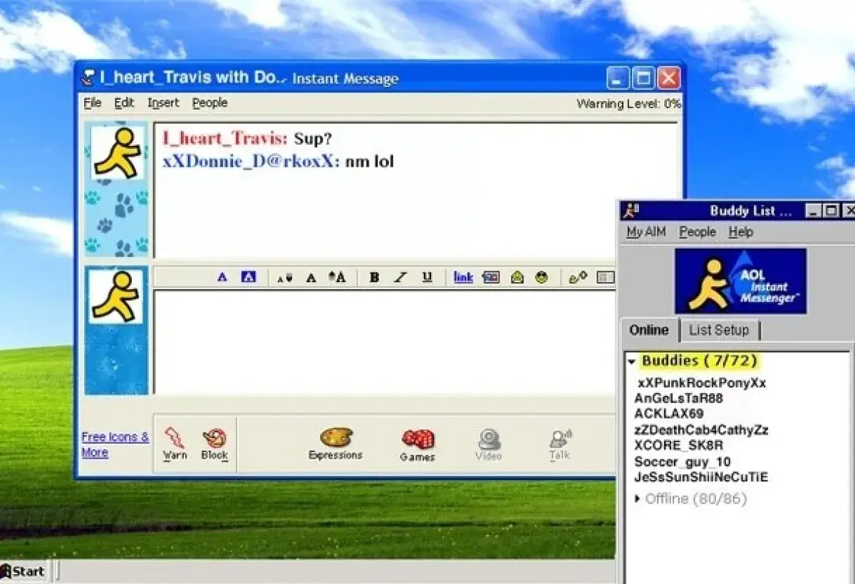 AOL Instant Messenger chat interface