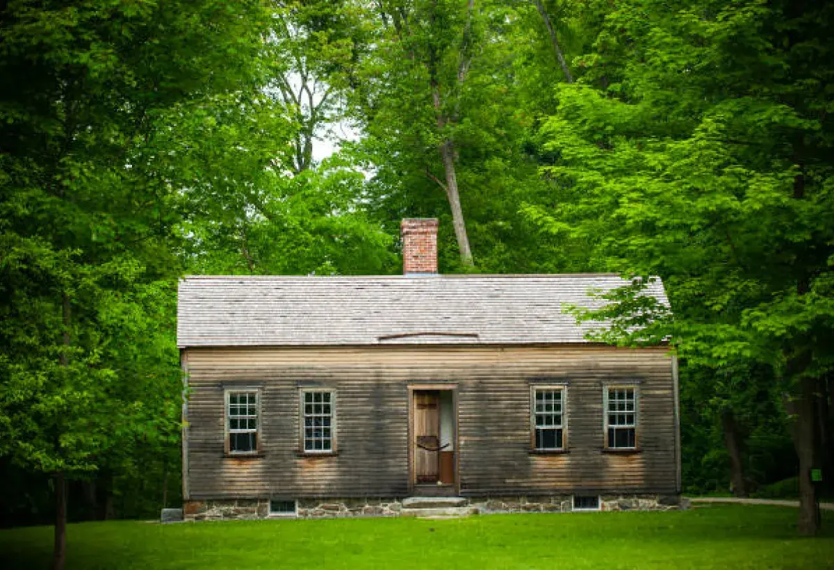 Early American wooden cabin surrounded by trees