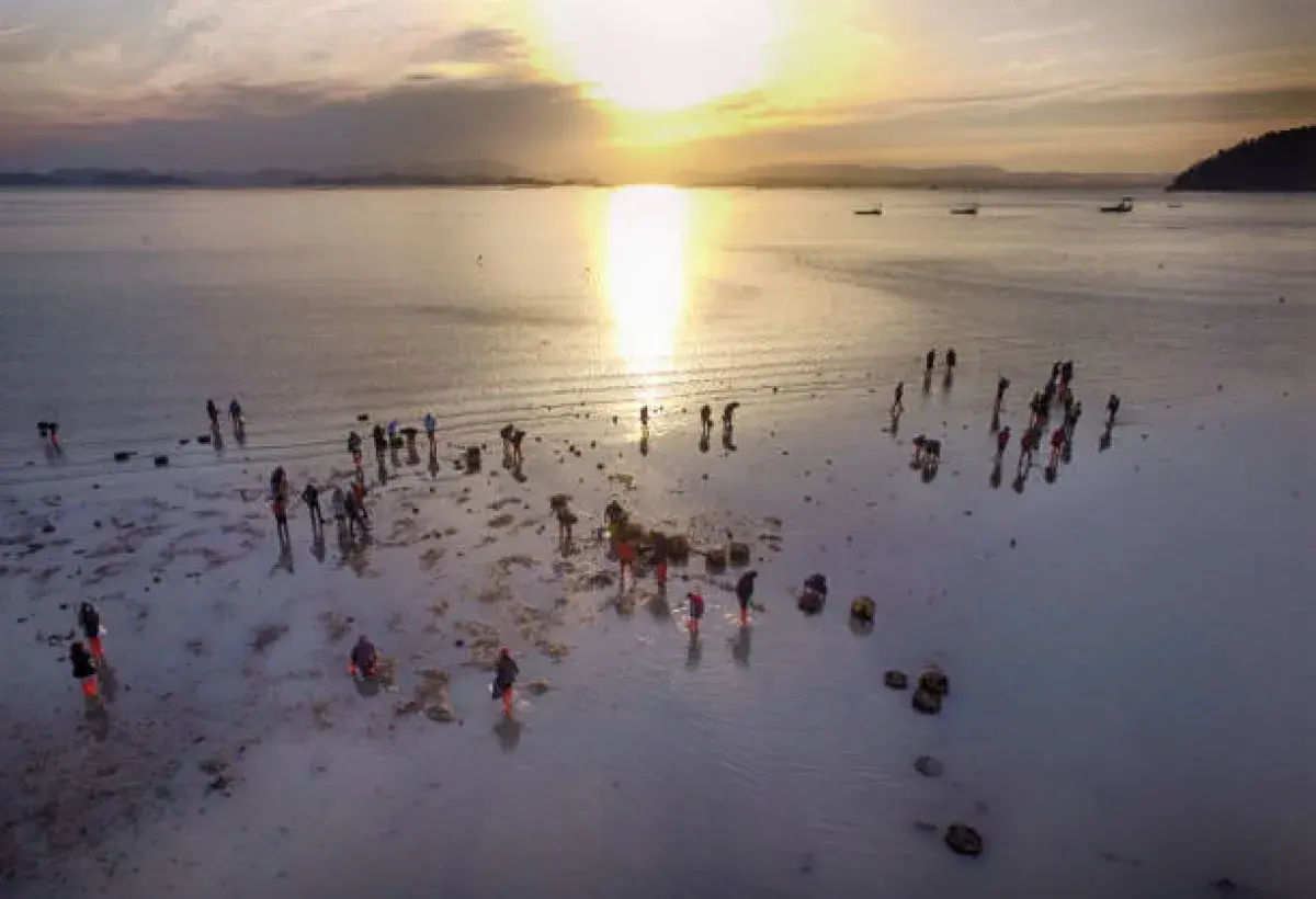 Sunset over a clam-harvesting bay representing the harmony of nature and tradition
