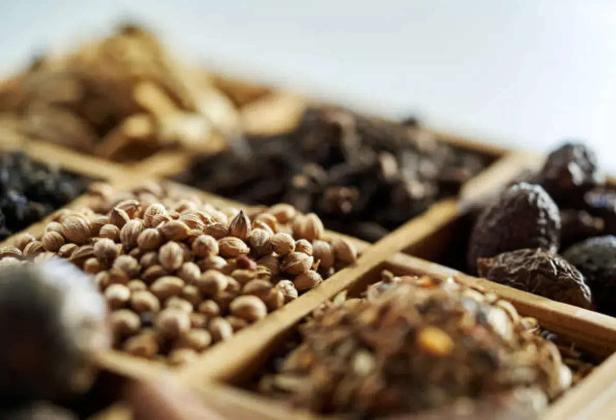 Nutmeg Culinary and Historical Significance