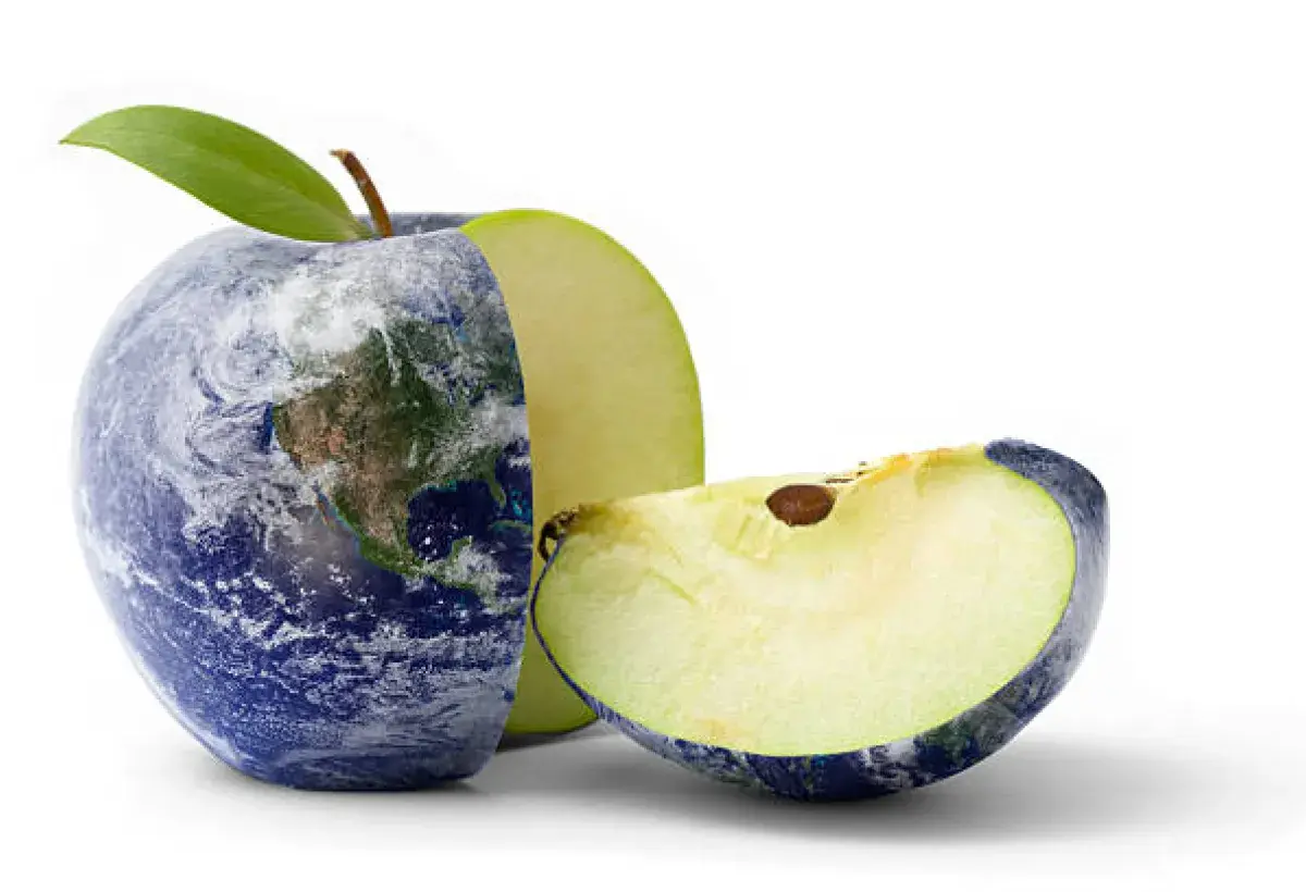 Apples remain one of the most beloved fruits in the world