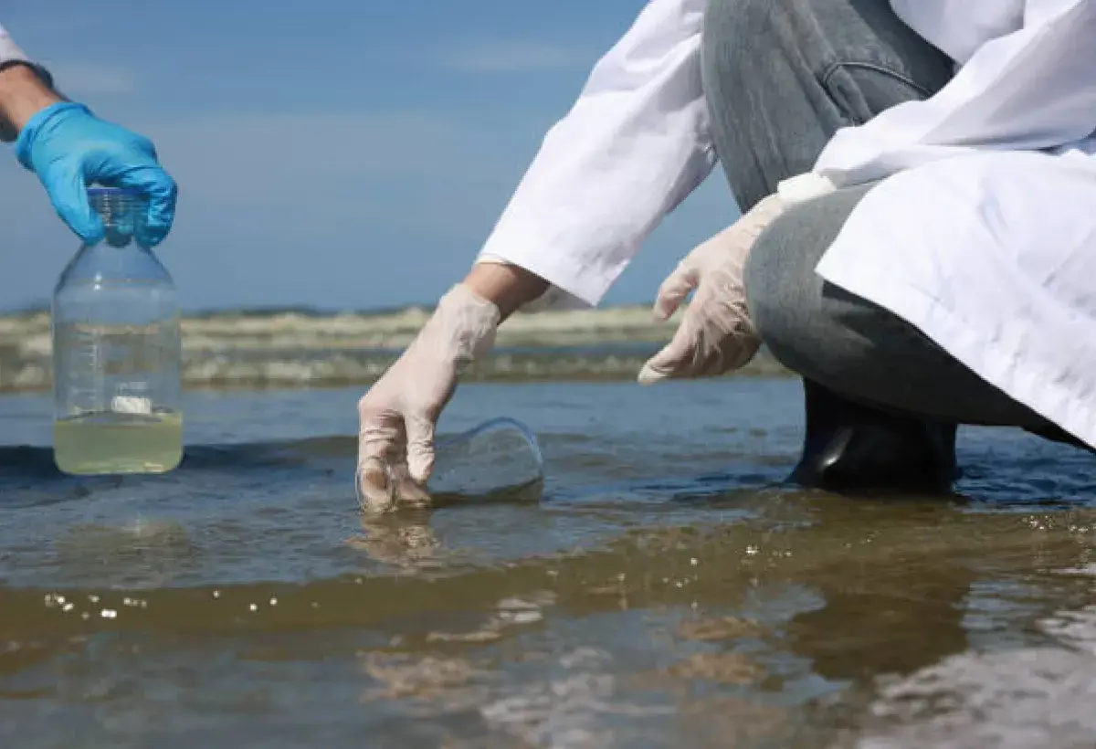 Marine biologist checking water quality in a clam harvesting area