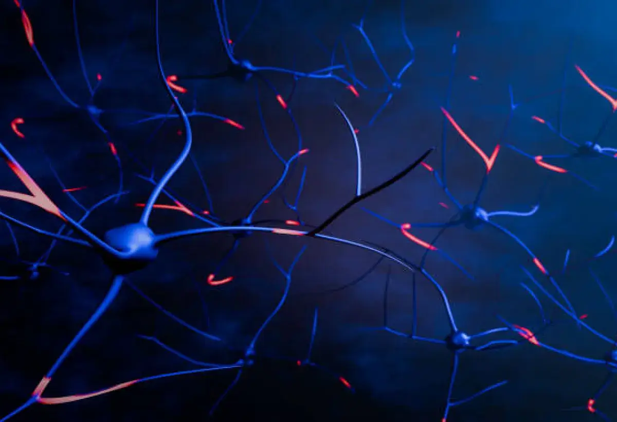  Chestnuts for Cognitive Function