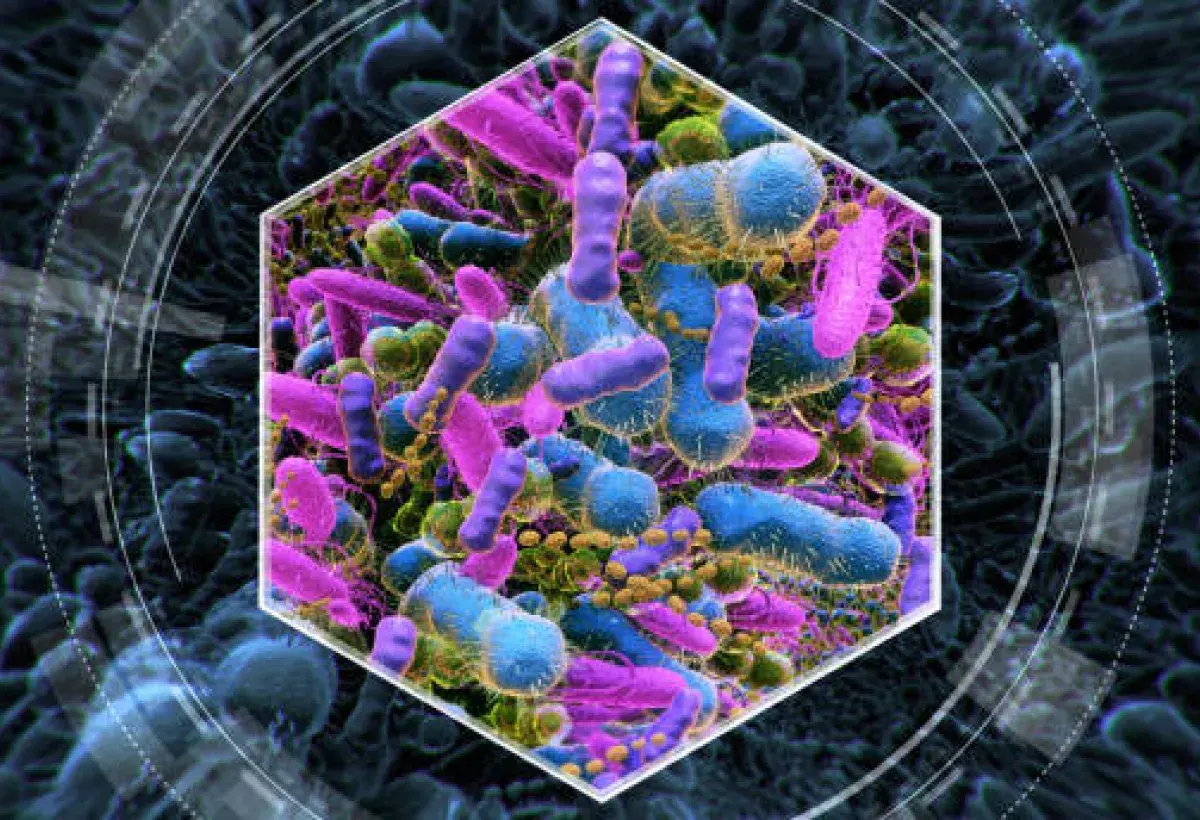 Microscopic view of Salmonella bacteria that can contaminate eggs.