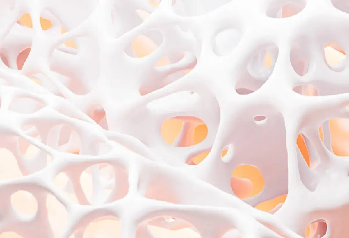 Chestnuts for Strong Bones