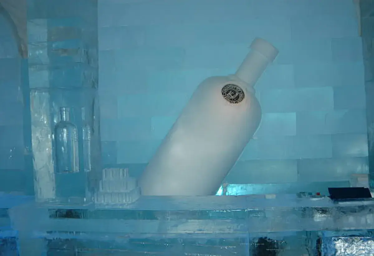 Vodka bottle in a home freezer