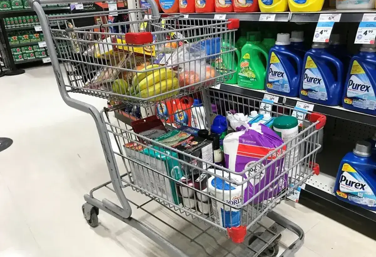 Everyday Shopping Items