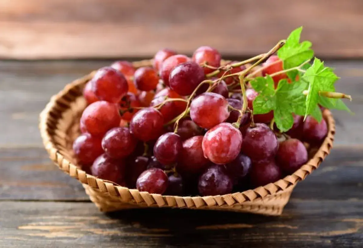 Fresh Grapes with Natural Resveratrol