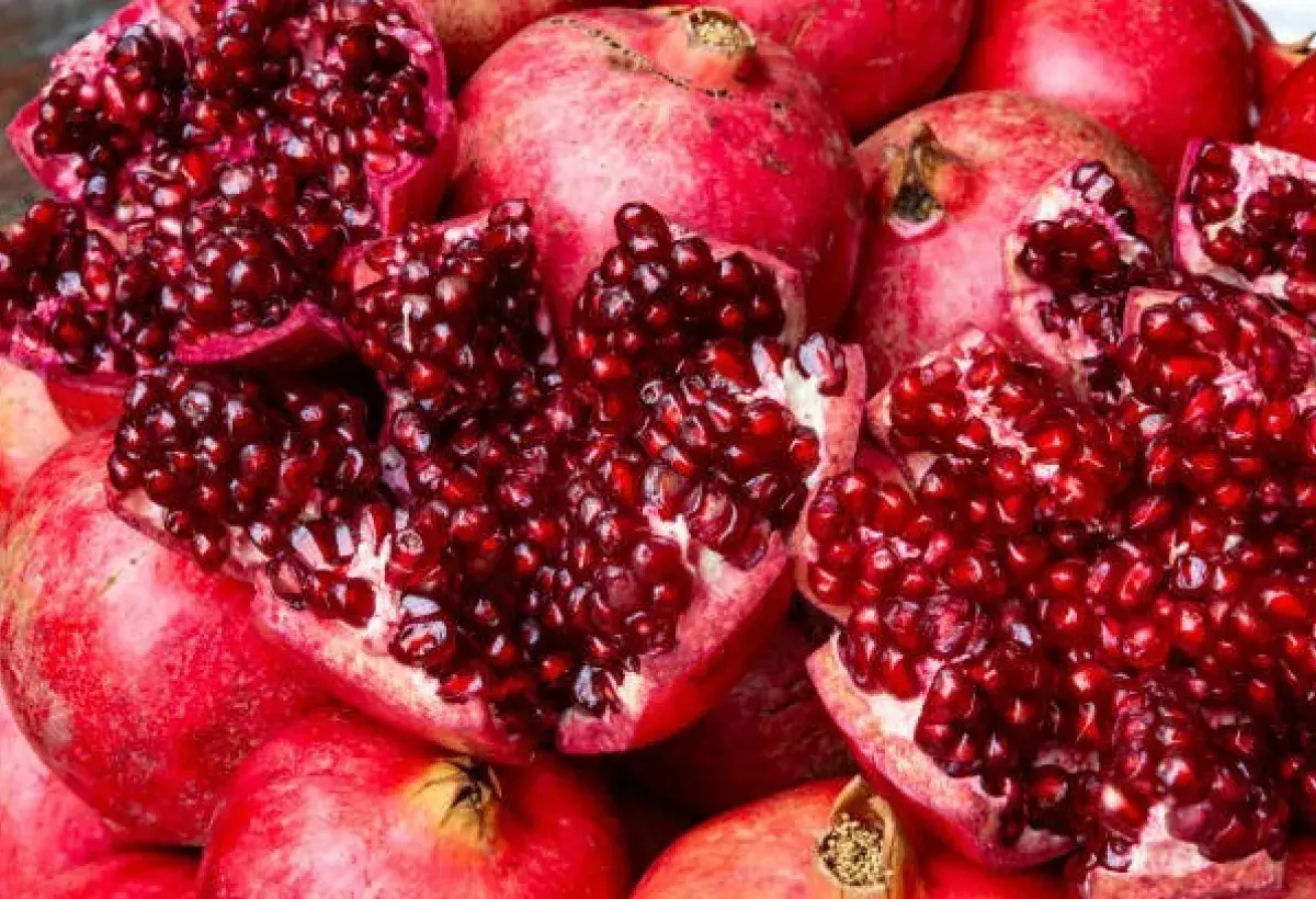 Pomegranate Seeds Rich in Polyphenols