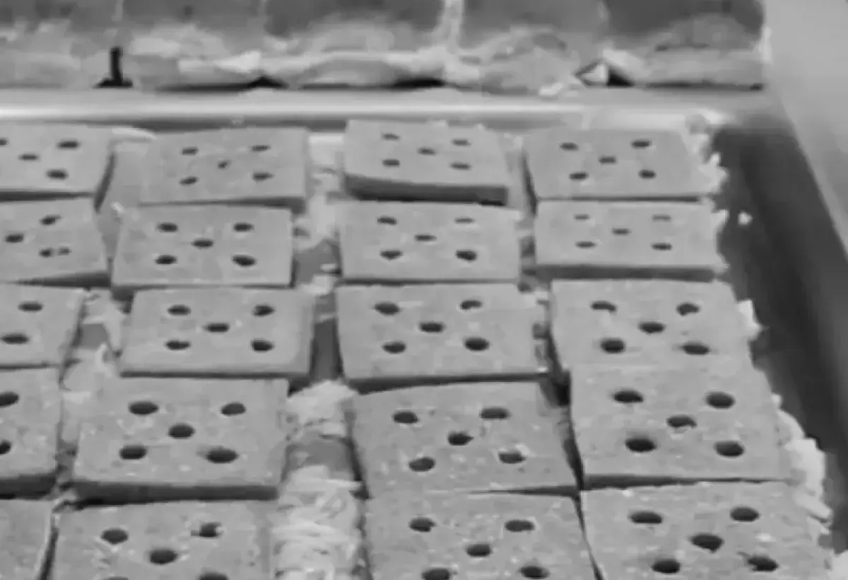 White Castle Slider Patty with Five Holes