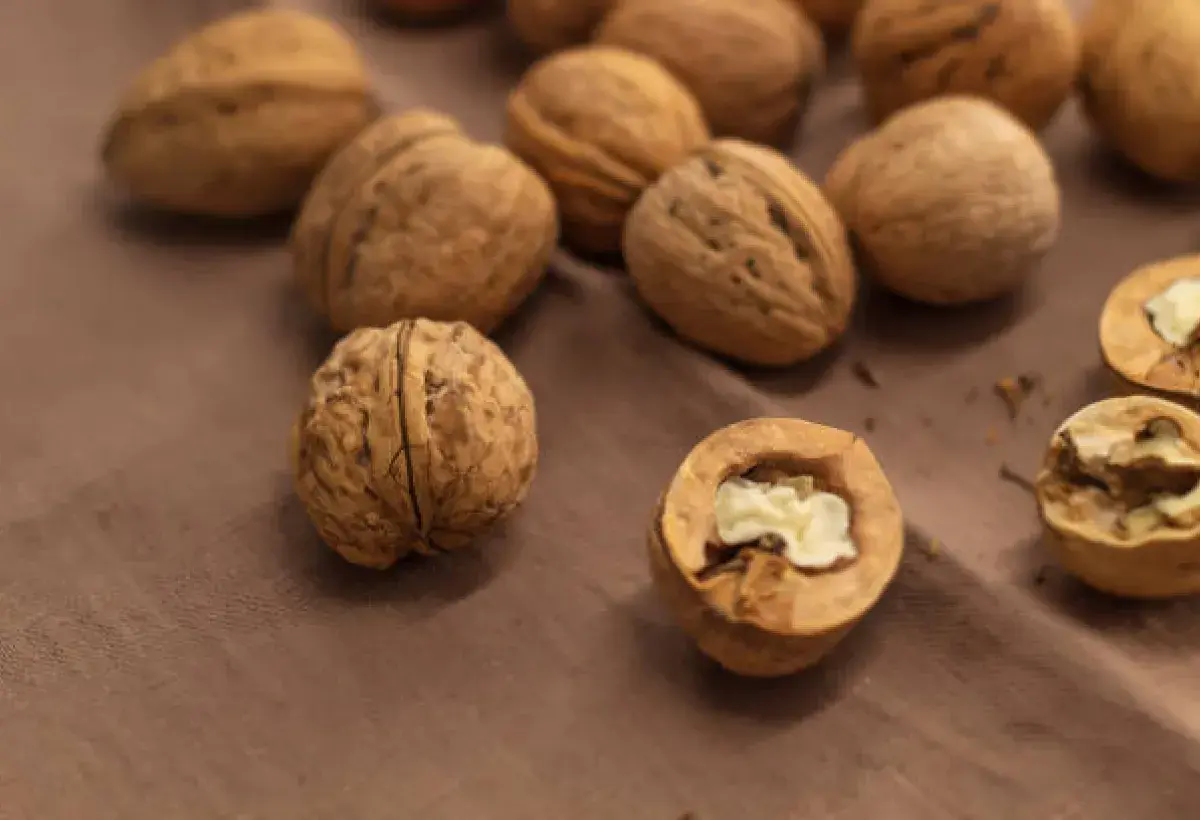 Walnuts supporting memory and cognitive performance