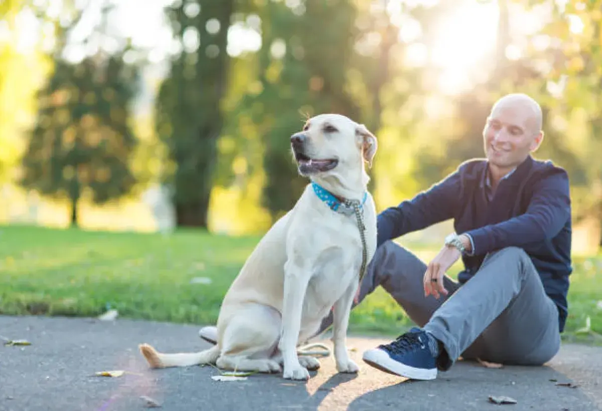 Happy dog sitting beside owner outdoors
