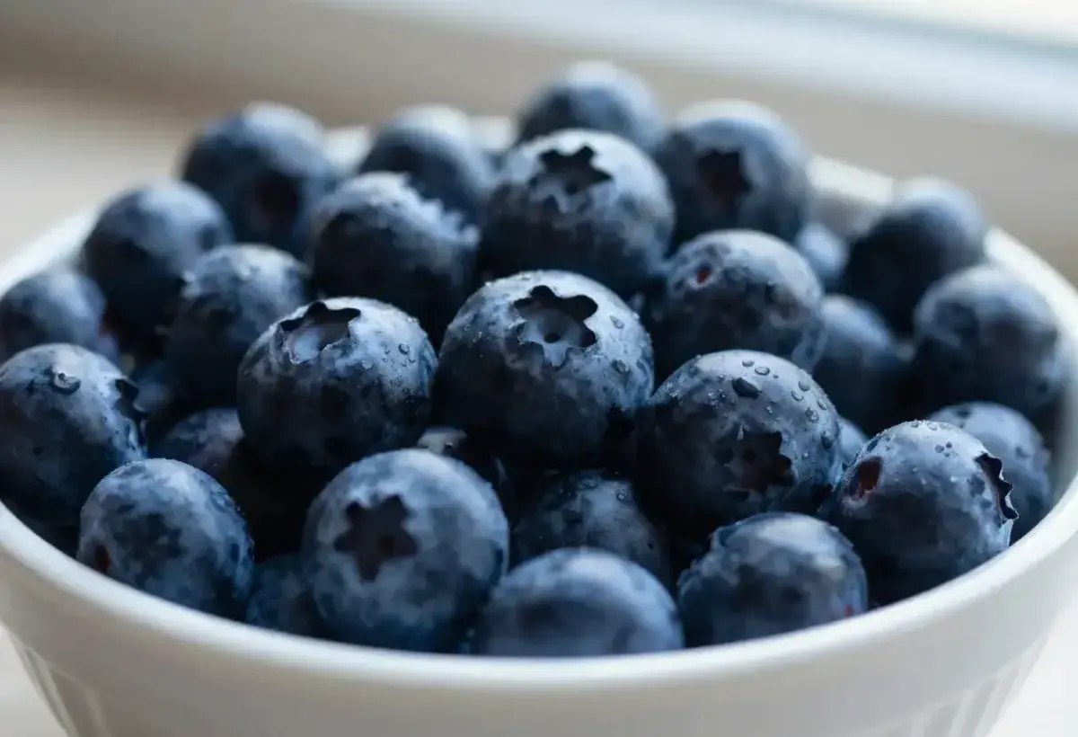Fresh blueberries rich in antioxidants for vision support