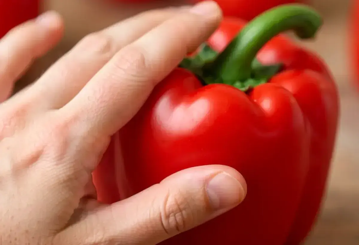 Checking firmness of a fresh bell pepper