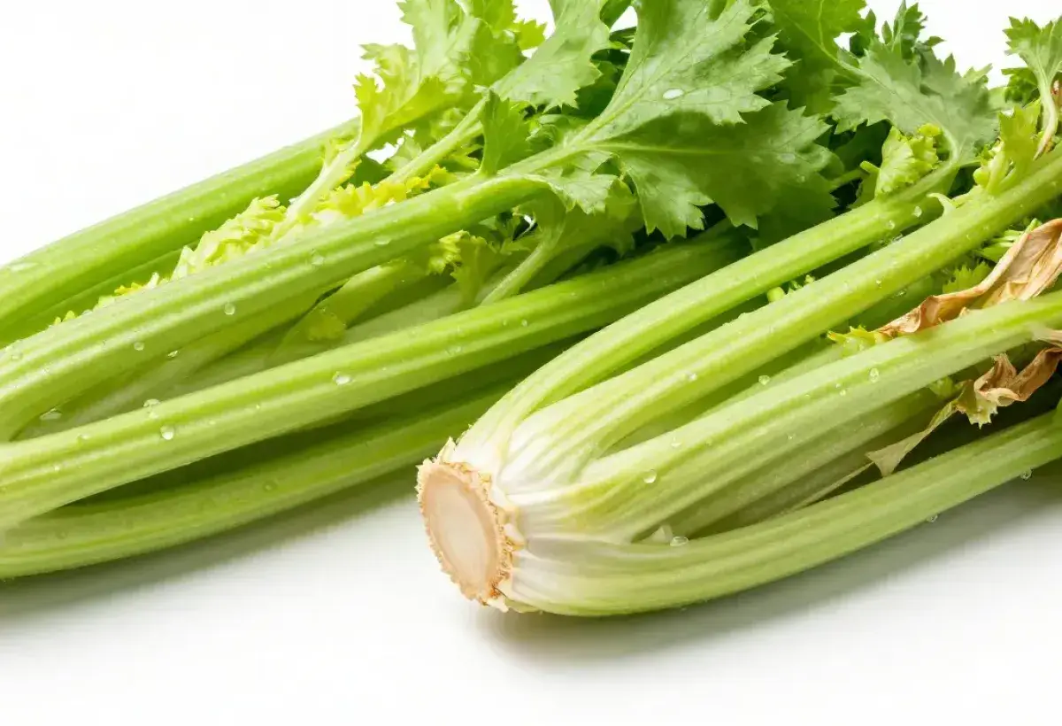  Fresh smooth vegetables next to wrinkled older produce