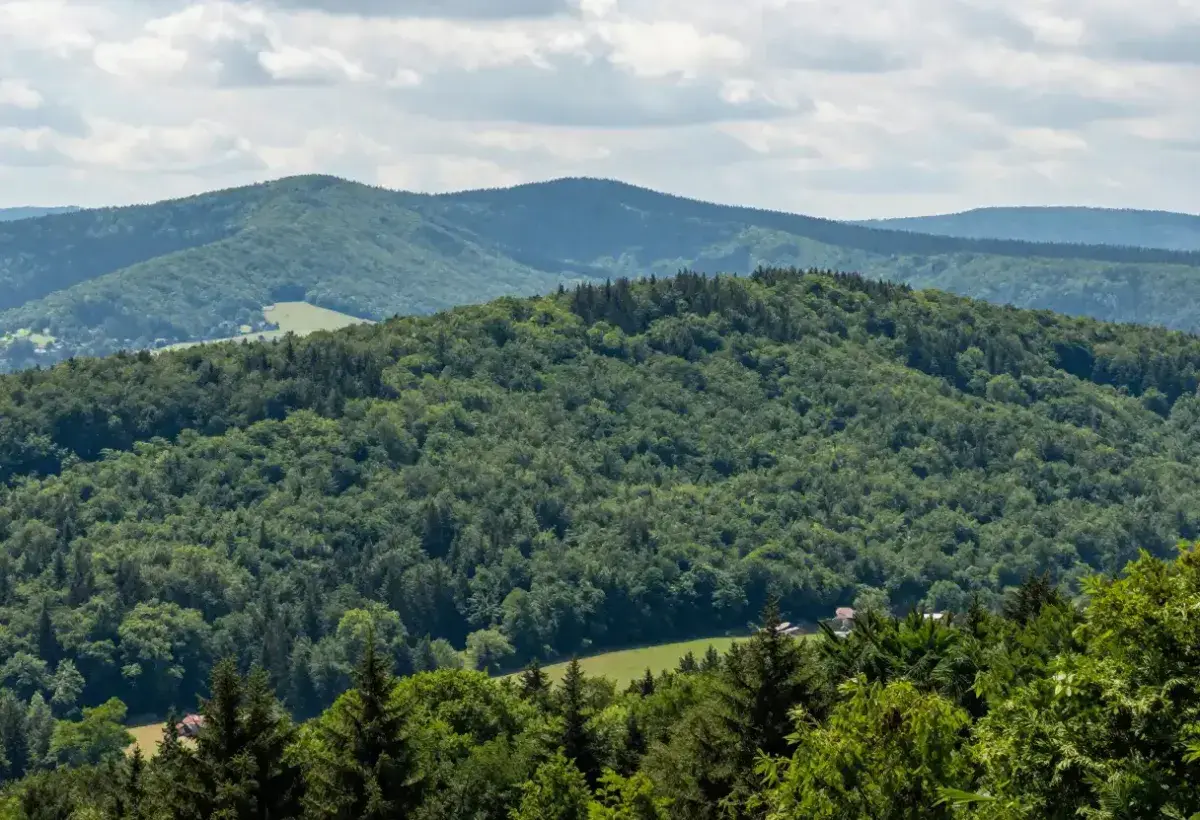 Owl Mountains Poland forest landscape