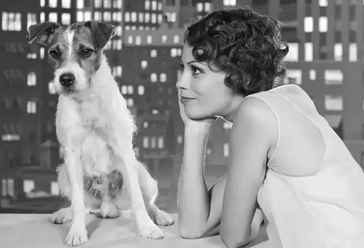 Uggie performing in The Artist