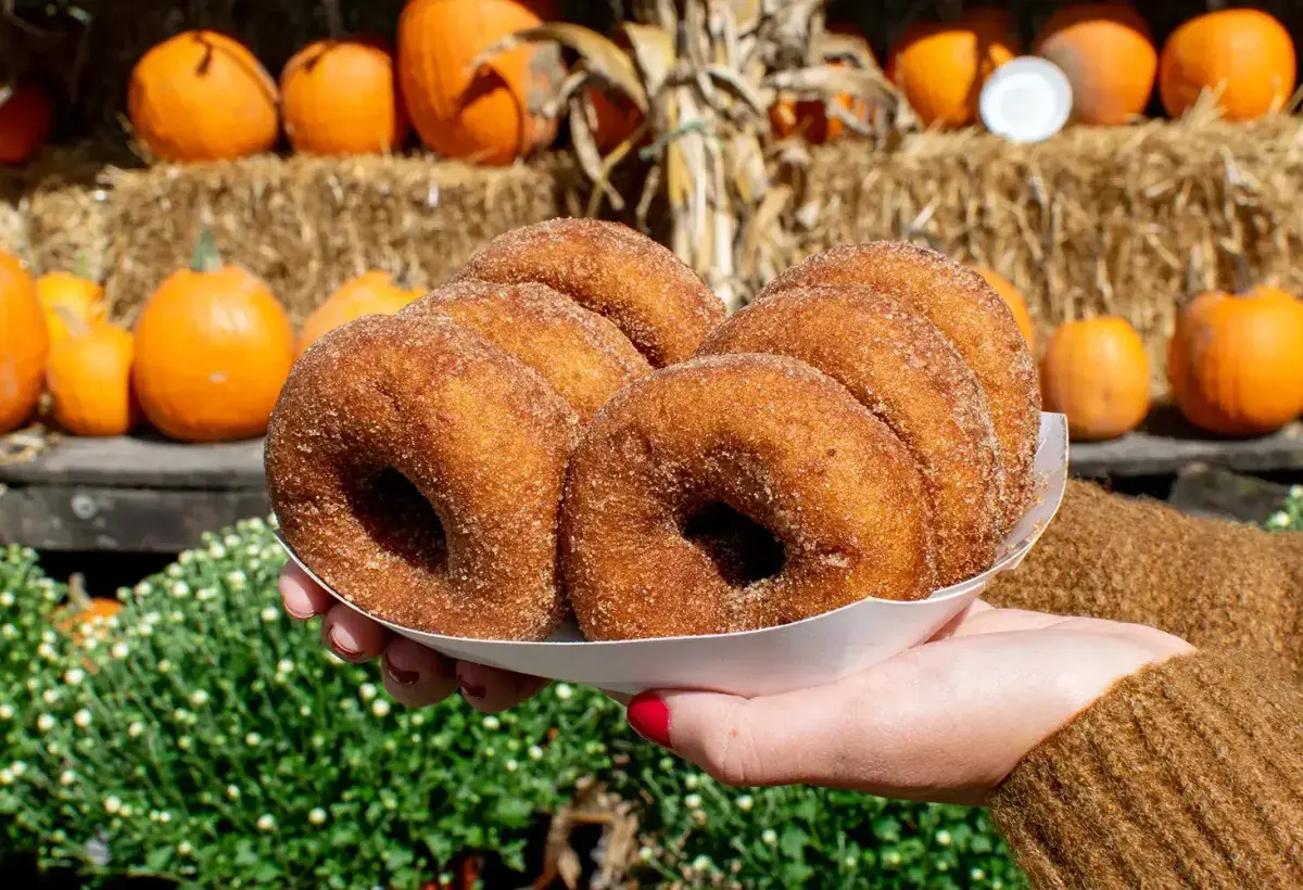 apple cider donuts