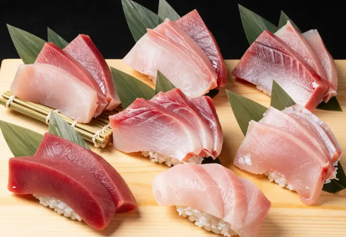 Assorted tuna cuts from otoro to akami displayed for sushi preparation