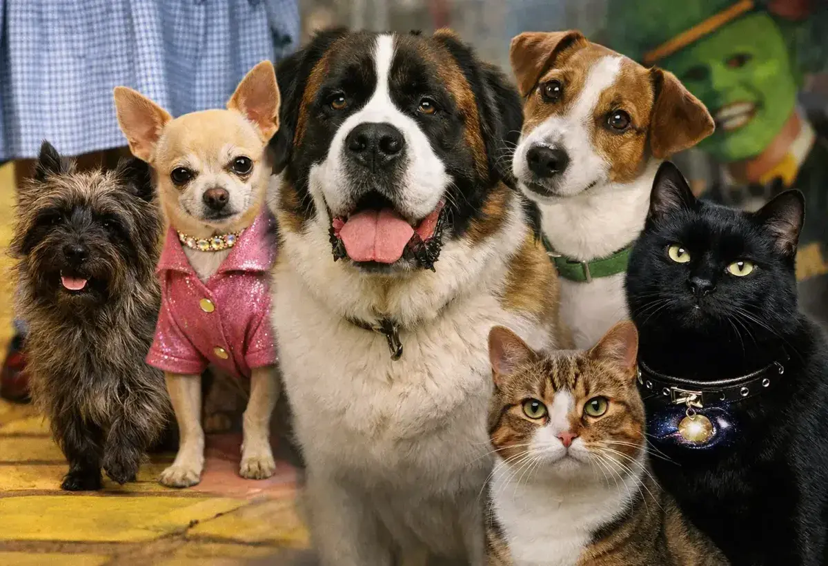 Famous Movie Cats and Dogs from Classic and Modern Films